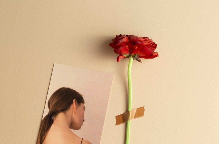 不要再關(guān)注環(huán)保漆品牌TOP10了，學(xué)會這些技巧排行榜你來定