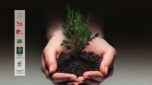 進口瑞士盧森，做環(huán)保實木顆粒板