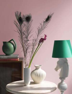 芬琳水性漆，你的家裝墻漆之選