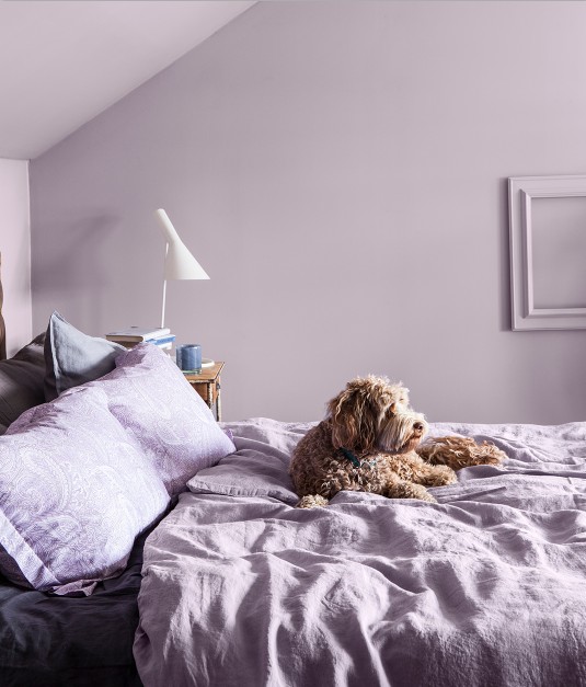 芬蘭芬琳涂料漆哪個系列要好一些