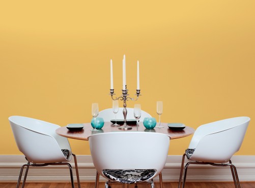 芬琳生態(tài)內(nèi)墻漆好不好看了文章一目了然