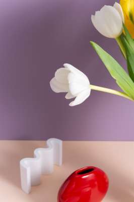 環(huán)保墻漆有哪些品牌即環(huán)保又好看？