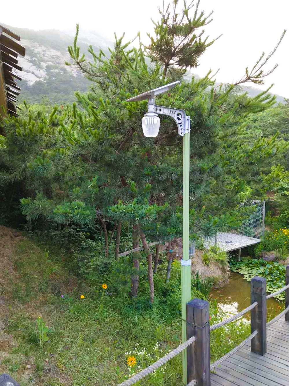 特價太陽能蘋果燈，5年超長質(zhì)保，家庭照明首選！